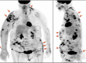 Case 8 (Image 1)