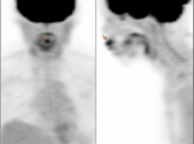 Case 10 (Image 1)