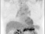 Case 7 (Image 1)