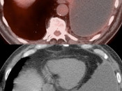 Case 7 (Image 2)