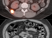 Case 6 (Image 2)