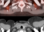 Case 6 (Image 2)