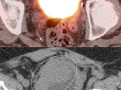 Case 4 (Image 2)