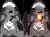 Case 7 (Image 2)