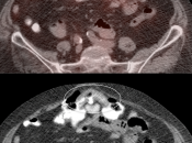 Case 7 (Image 2)