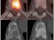 Case 2 (Image 2)