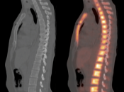 Case 2 (Image 2)