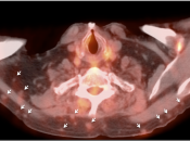 Case 4 (Image 2)