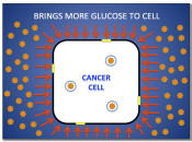 Figure 1 (Image 3) Cancer cell infographic