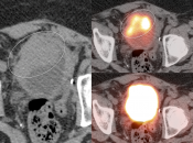 Case 4 (Image 3)