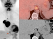 Case 6 (Image 3)
