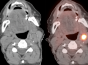 Case 6 (Image 3)