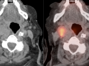 Case 7 (Image 3)