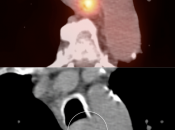 Case 4 (Image 3)