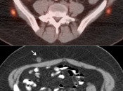 Case 6 (Image 3)