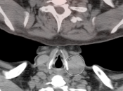 Case 7 (Image 3)