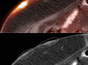 Case 8 (Image 3)