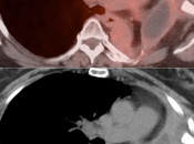 Case 6 (Image 3)