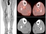 Case 2 (Image 4)