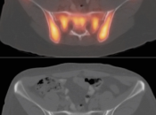Case 2 (Image 4)