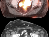 Case 8 (Image 4)