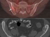 Case 6 (Image 6)