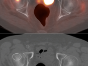 Case 4 (Image 6)